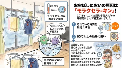 室内干しの衣類とモラクセラ菌、部屋干し臭対策を示す図解